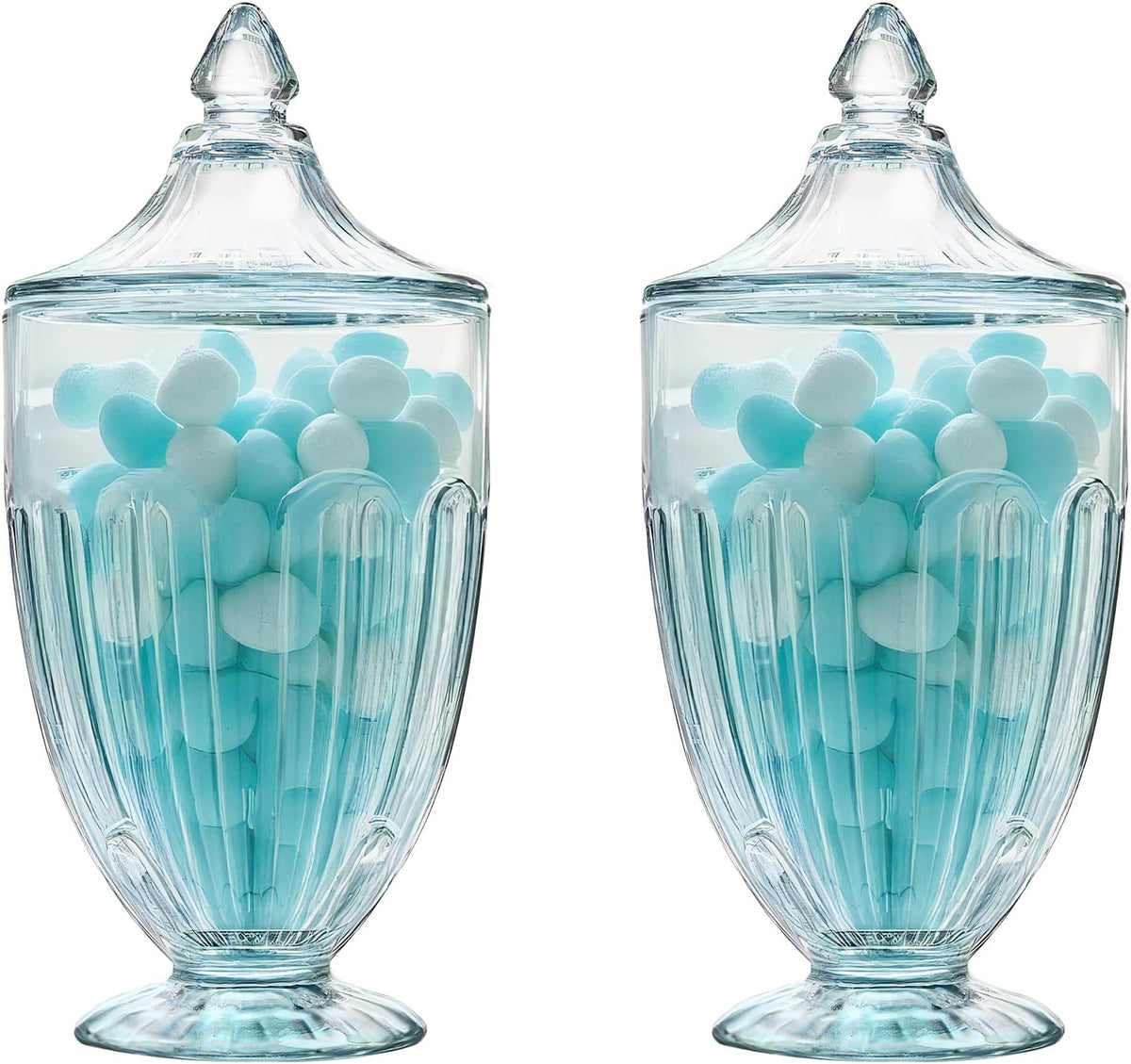 ZEERSHEE 2 Pack 26oz Glass Candy Jars with Lids Clear Decorative Storage Jar for Candy Cookies
