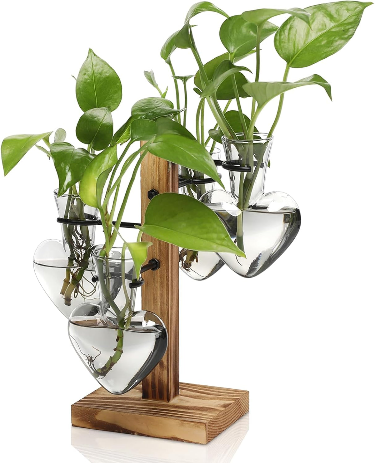 Plants Propagation Stations Plant Terrarium Kit Glass Planters for Indoor Plants House Plant