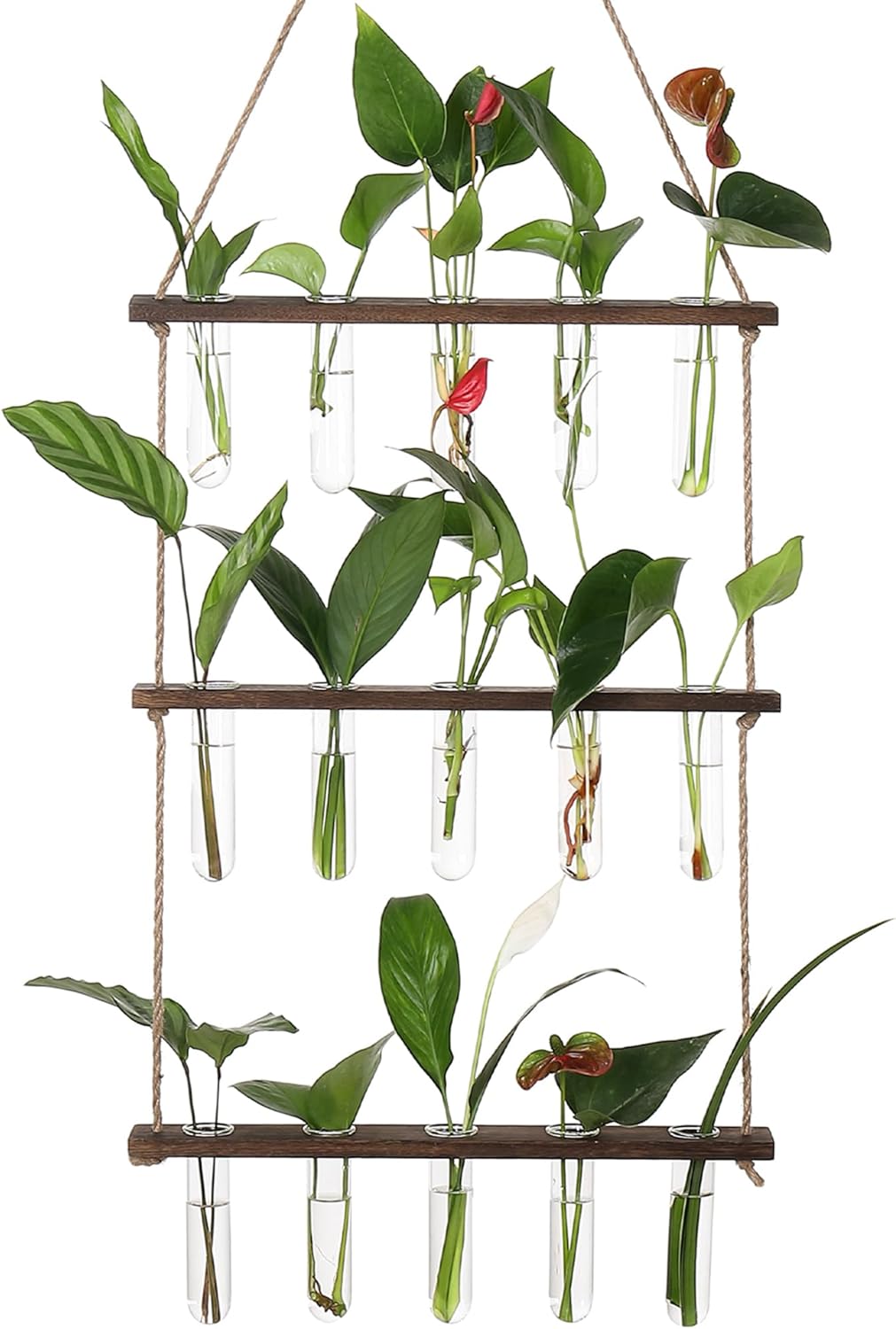 YIBOT Propagation Stations,3 Tiered Wall Hanging Terrarium with Wooden Stand,Mini Glass Test Tubes