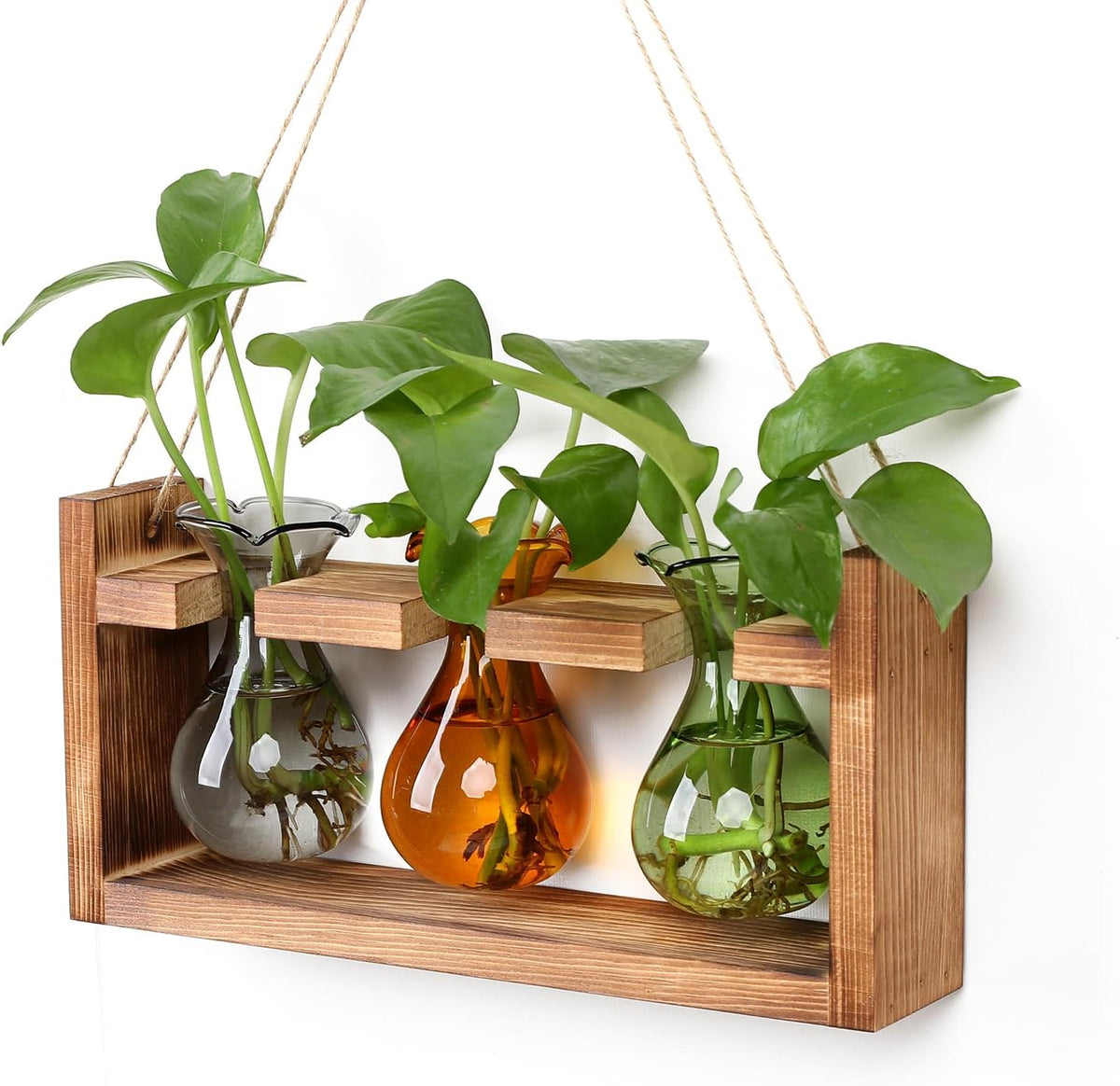 Plant Propagation Station Plant Terrarium Unique Birthday Gifts for Women Home Office Decor Planter