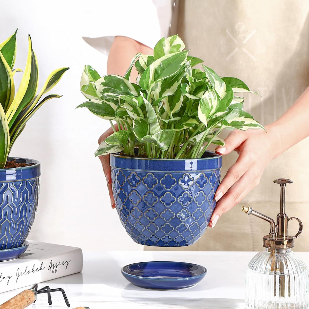 Sureasy Ceramic Indoor Plant Pots - 5.6 Inch Flower Pots for Plants with Drainage Hole and Saucer