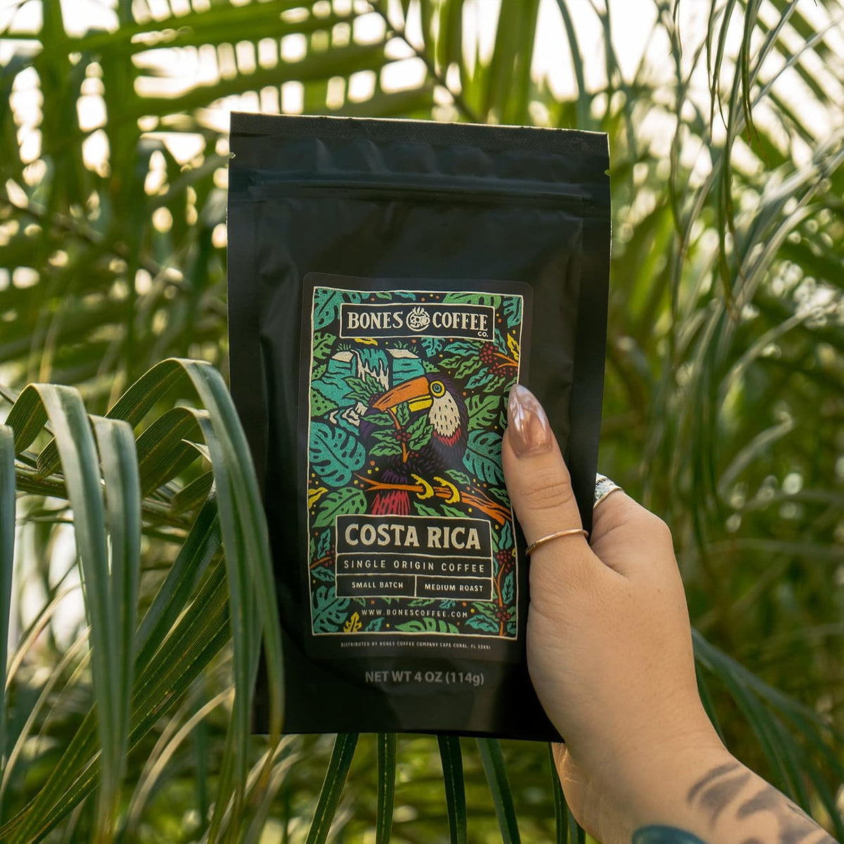Bones Coffee Company NEW World Tour Sample Pack, Single-Origin Flavored Coffee Medium Roast Arabica