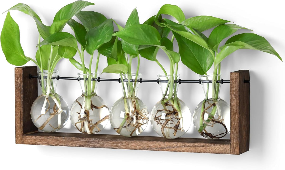 YIBOT Plants Propagation Stations,Plant Terrarium with Wooden Stand,Wall Hanging Glass Planter