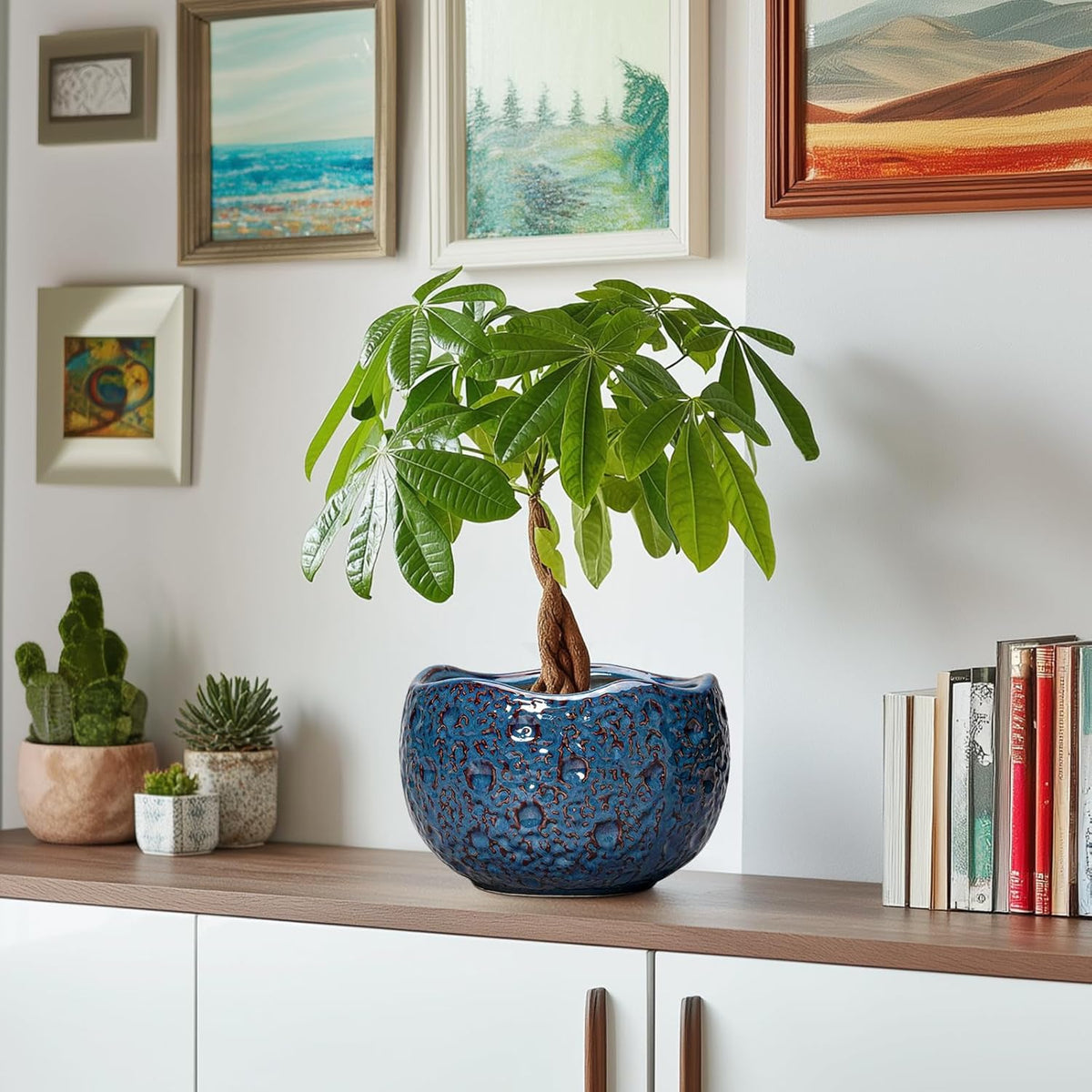 8 Inch Plant Pot - Ceramic Planter for Indoor Outdoor Plants, Round Unique Plant Pots with Drainage
