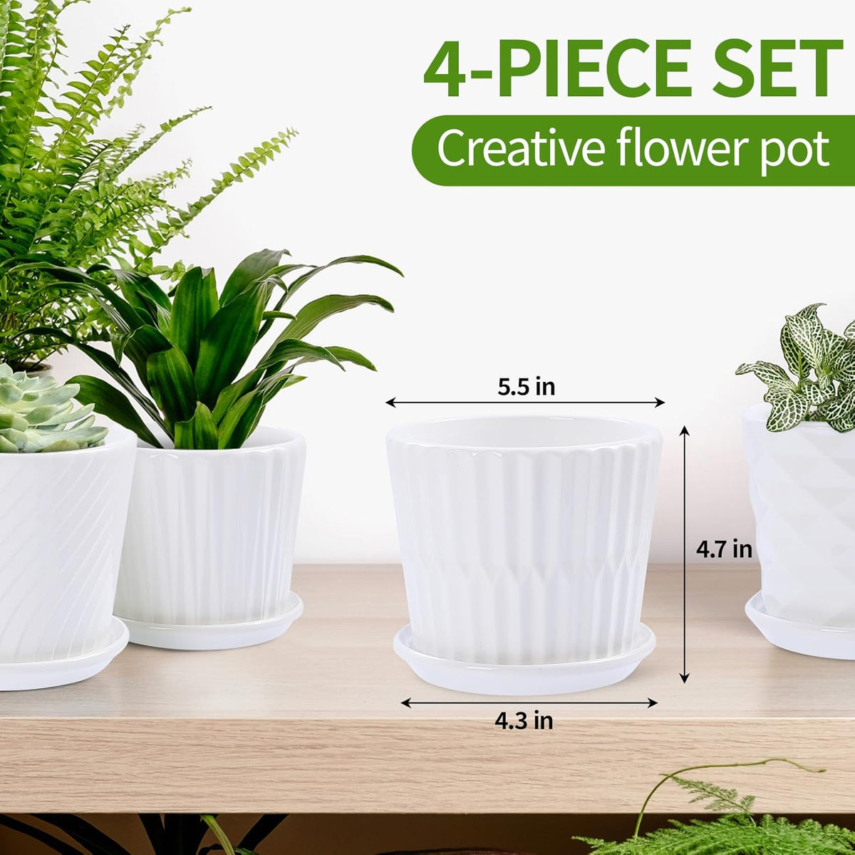 Plant Pots - 5.5 Inch Cylinder Ceramic Planters with Connected Saucer, Pots for Succuelnt and