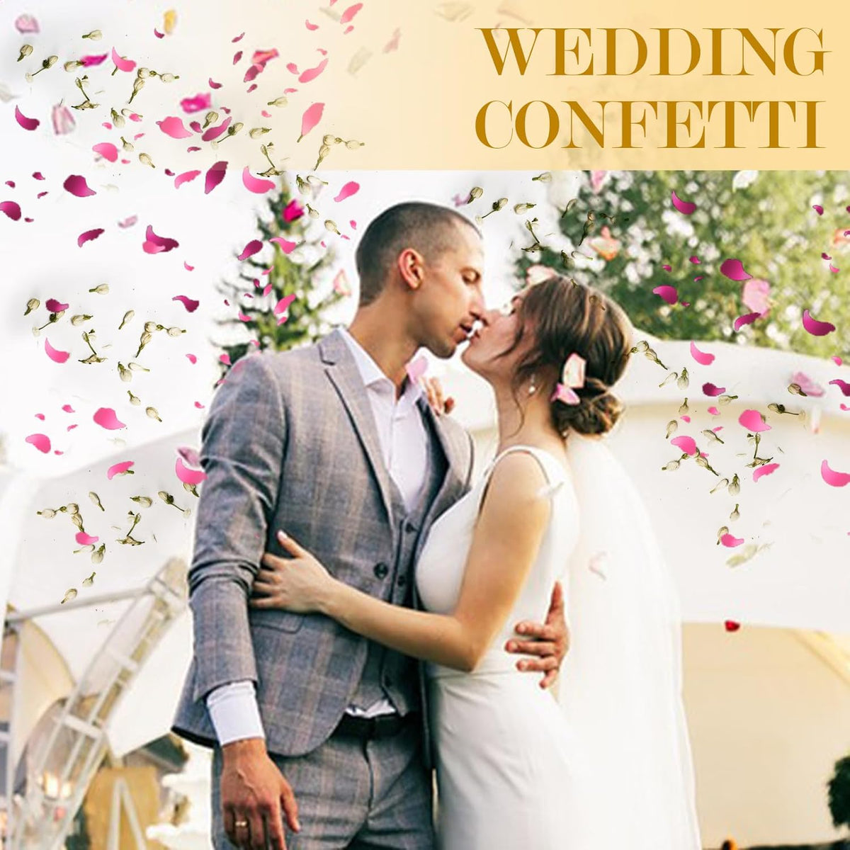 20+ Cups Mix Real Rose Petals Biodegradable Wedding Confetti, 2 QT of Pink Red Flower Jasmine for