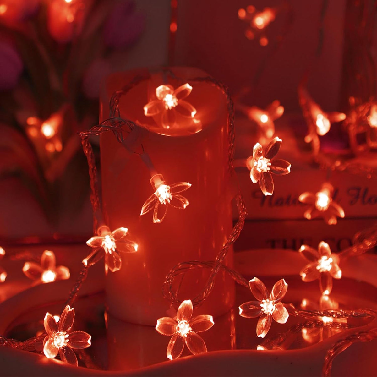 Battery Lighted & USB Plug in Fairy Flower String Lights, 10ft 30 LED Cute Cherry Blossom Lights