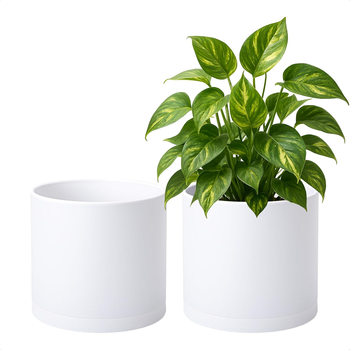 D'vine Dev 2 Pack 8 Inch Modern Plastic Plant Pots, Cylindrical Garden Planters for Plants with