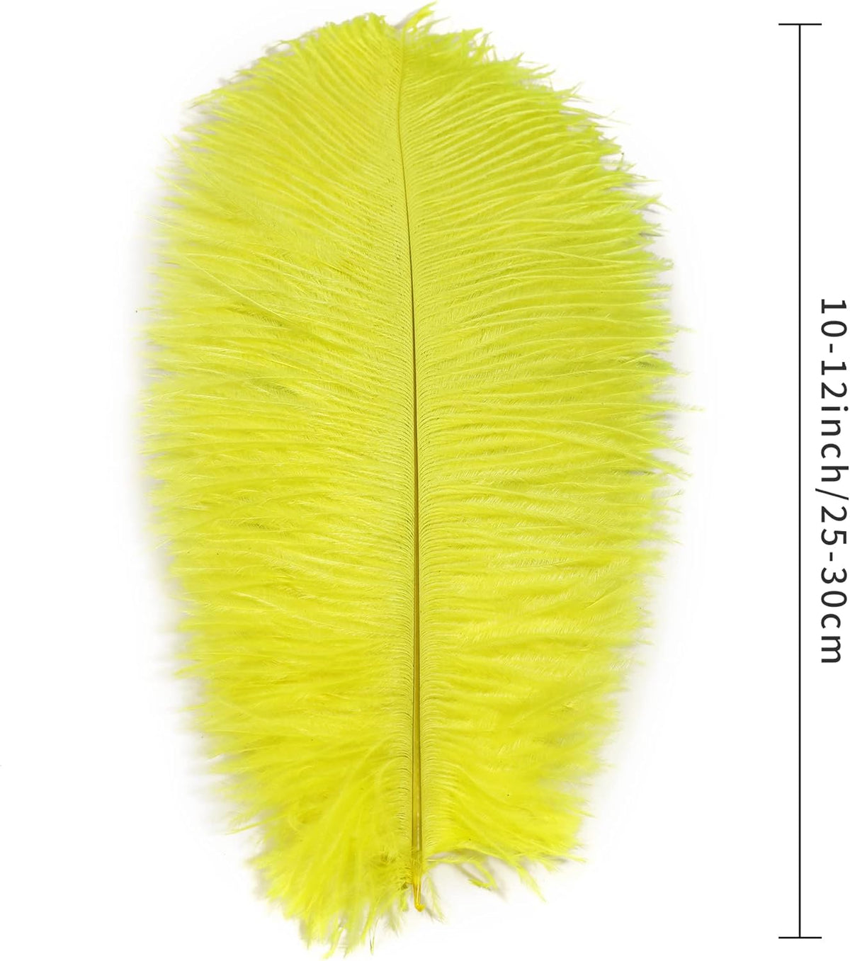 Ballinger Fluorescent Yellow Ostrich Feathers - 24Pcs 10-12inch Feathers Bulk for Vase, Party
