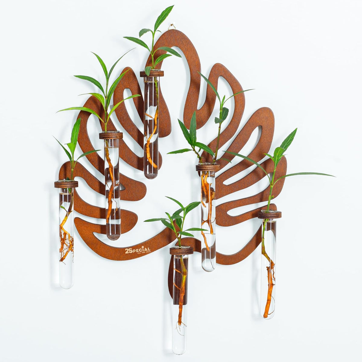 2Special Propagation Stations | Hanging Propagation Station and Wall Planters for Indoor Plants |