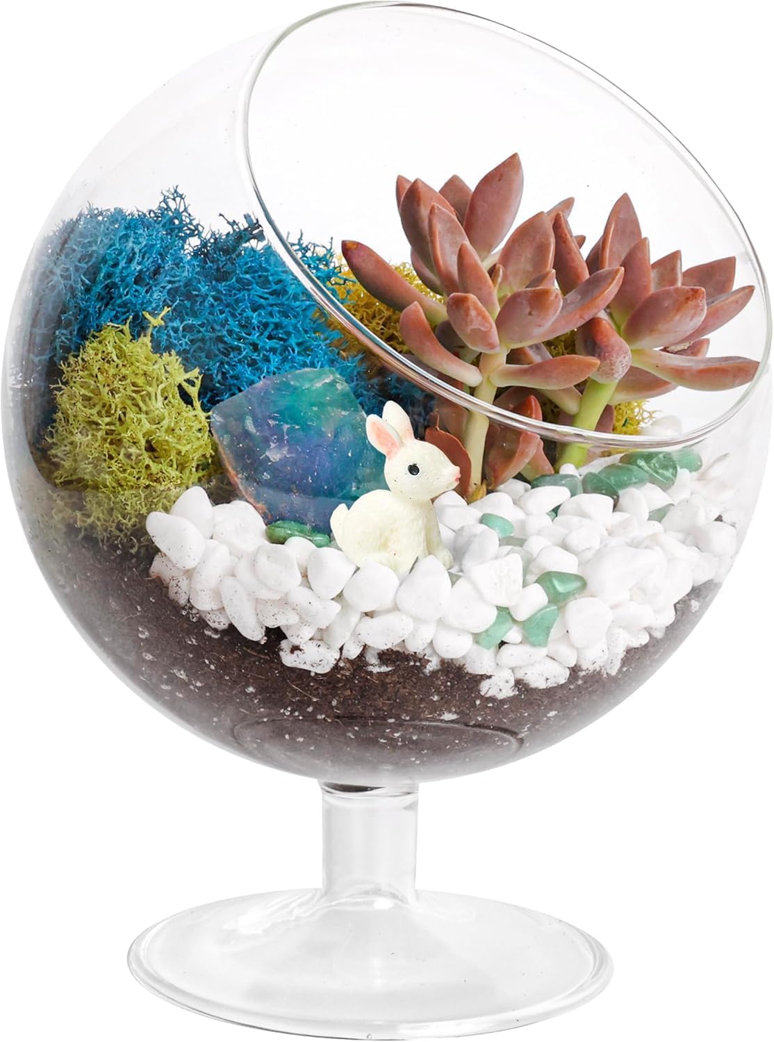 DIY Glass Plant Terrarium Kit for Adults, Metal Stand, Reindeer Moss, Crystals, Rocks, Tools &