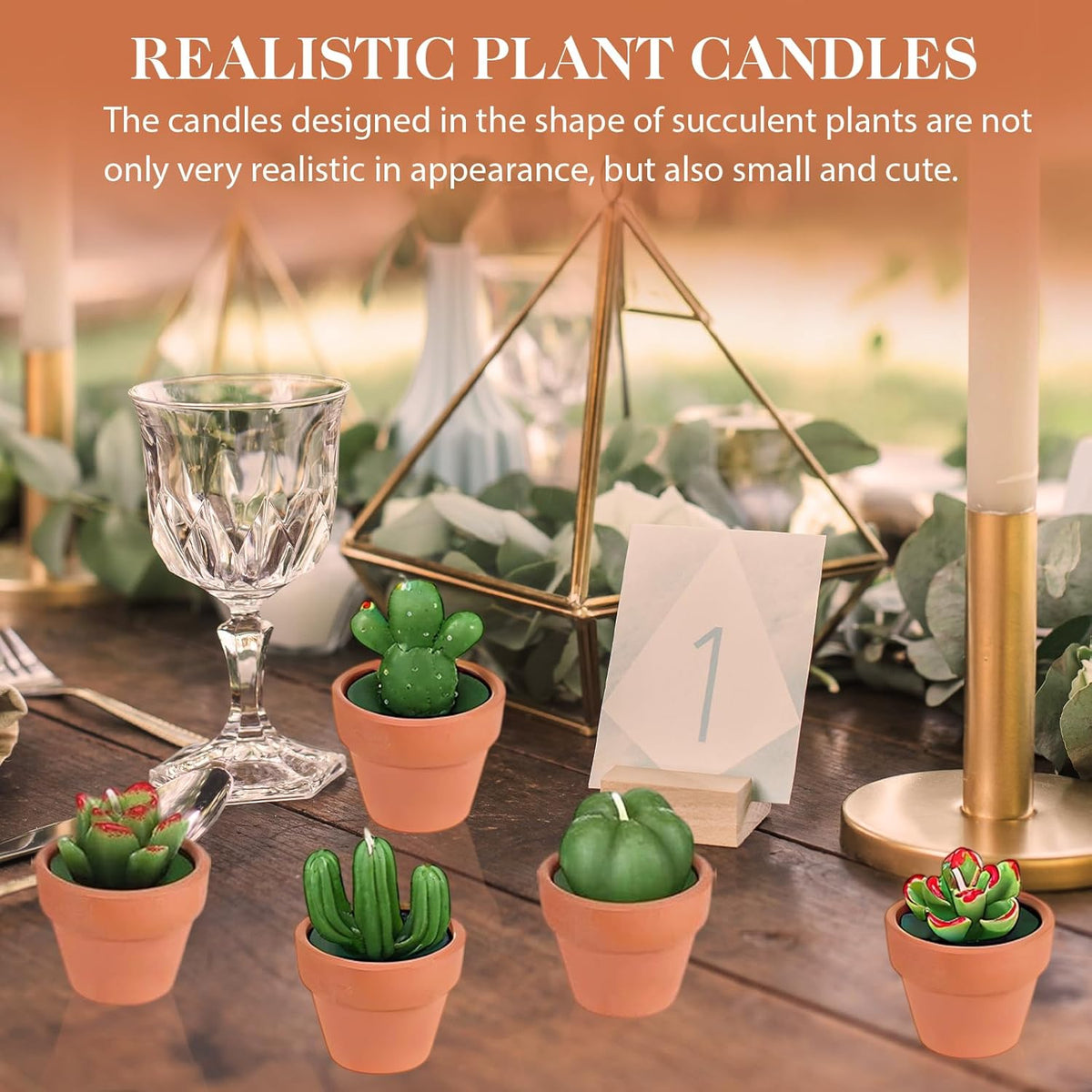 AZEAM 48 Pcs Succulent Candles Party Favors, Bulk Cactus Table Decor with Mini Terracotta Holders