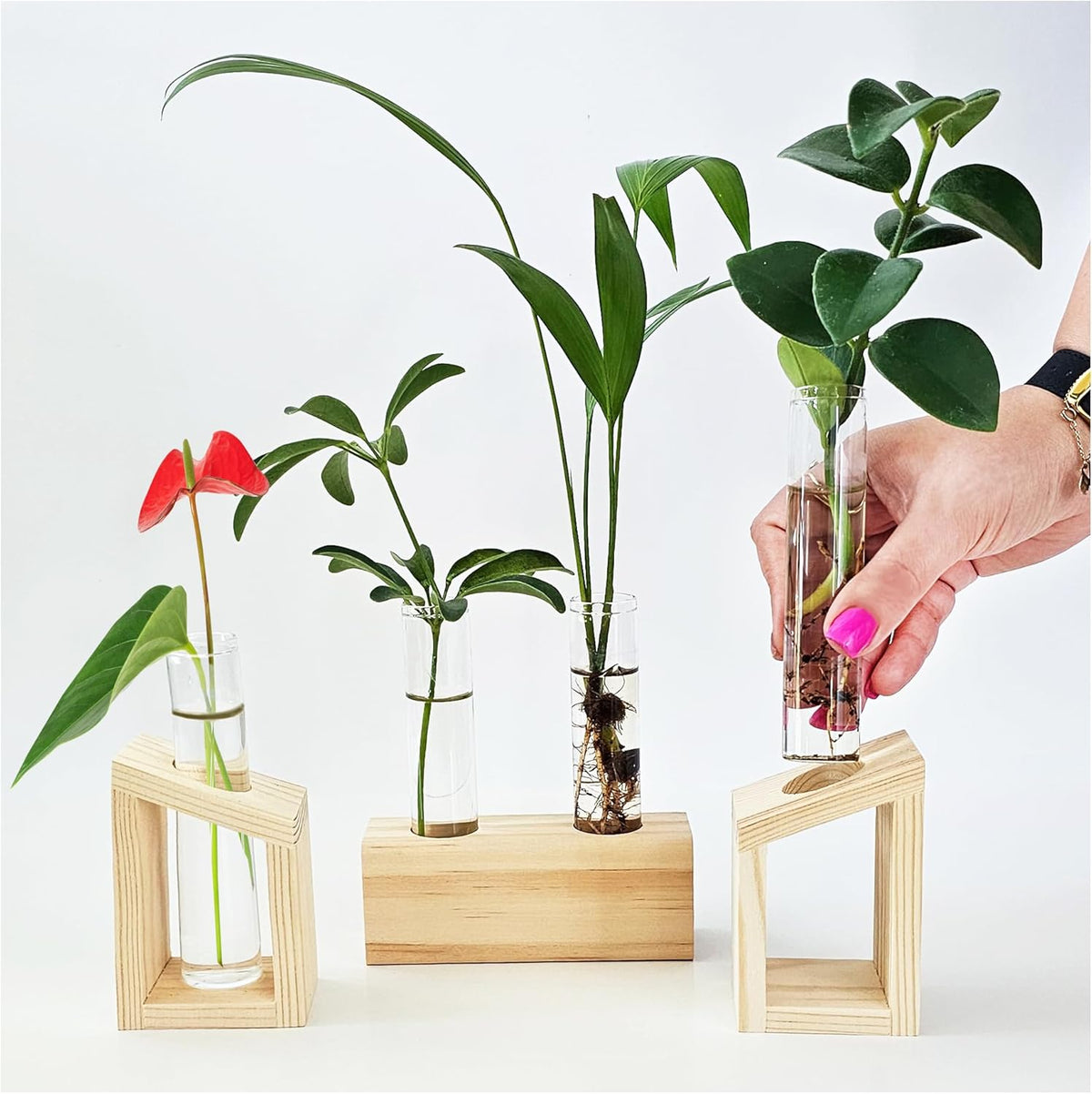 Plant Propagation Station - 3-Piece Wooden Stand with 4 Glass Test Tubes, Terrarium Vases for