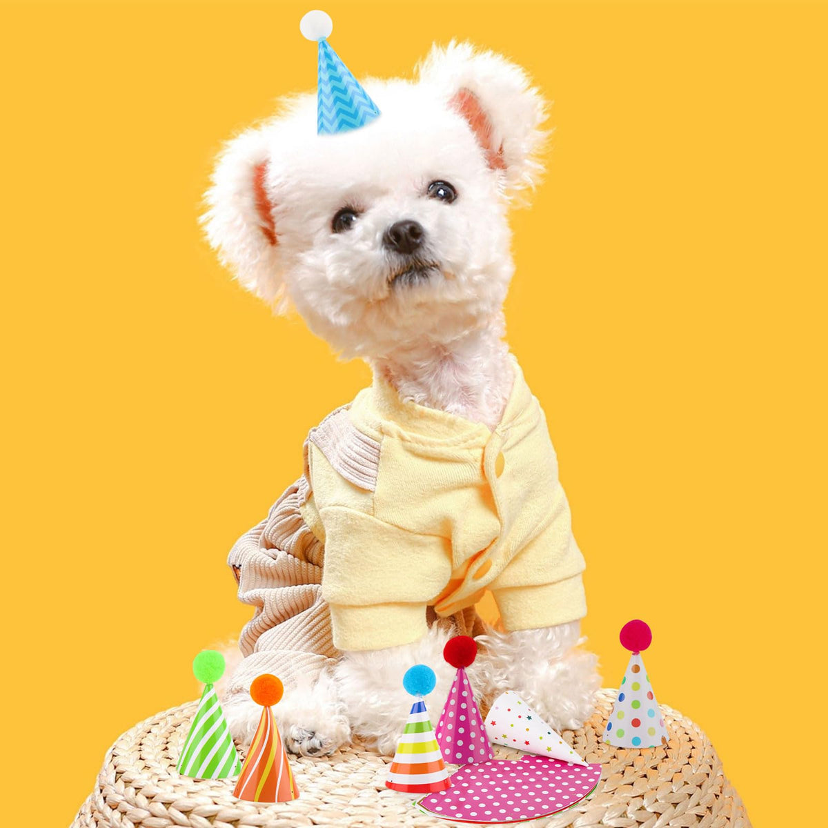 Atiloy 10 PCS Colorful Mini Party Hats for Stuffed Animals Lovely Paper Cone Tiny Birthday Hats for