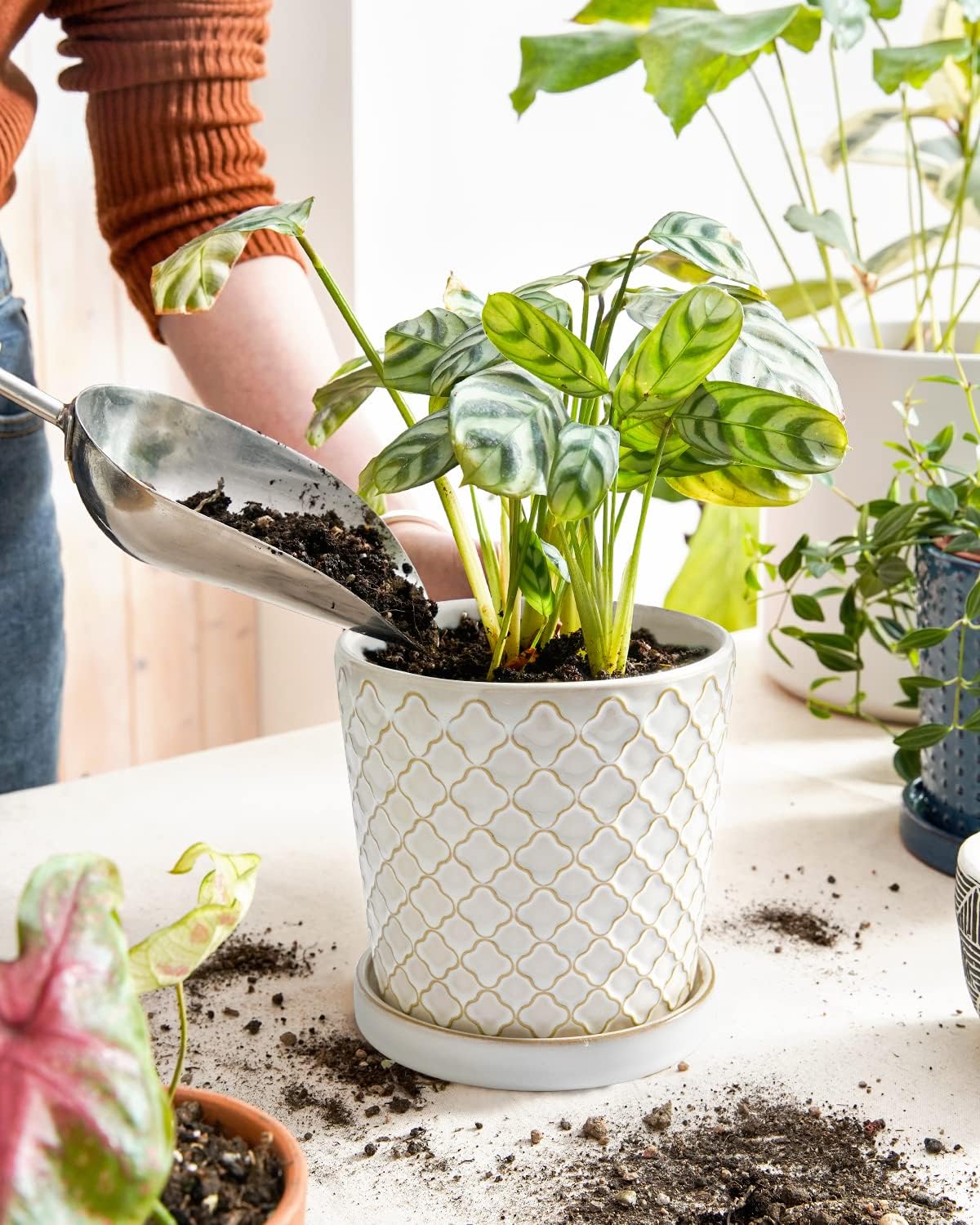 LE TAUCI Ceramic Pots for Plants, 5.4 Inch Plant Pots with Drainage Hole and Saucer, Indoor Plant