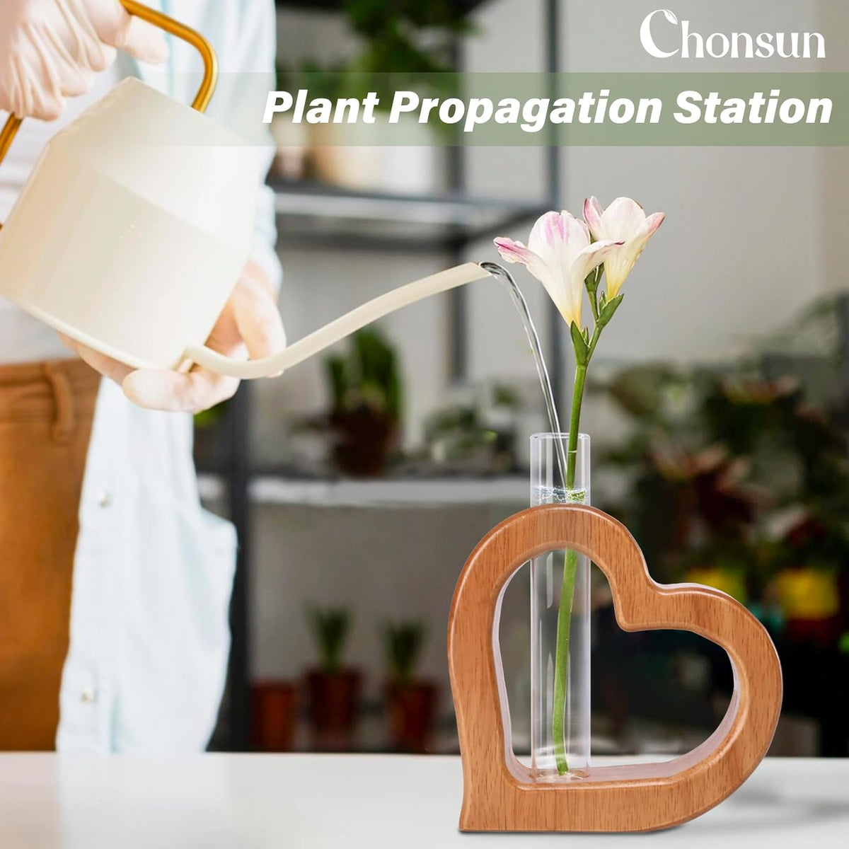 Plant Propagation Stations 2 PCS Wall Hanging Planters for Indoor Plants Glass Tubes Home