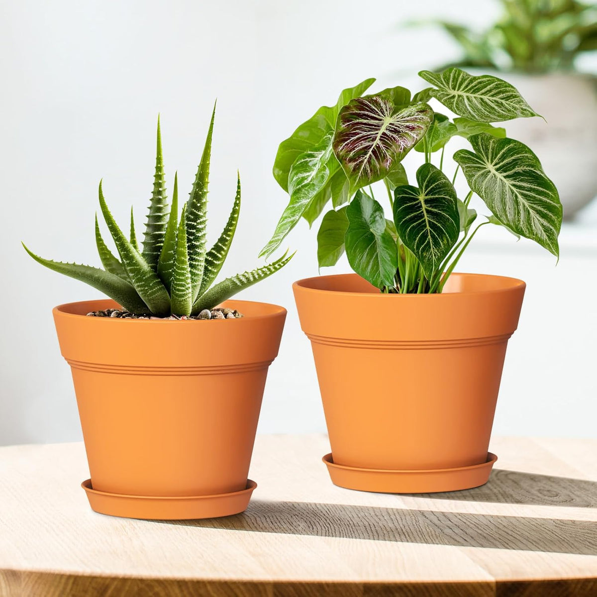 4 Inch Plastic Plant Pots with Drainage Holes and Trays – 8 Pack Small Nursery Pots for Indoor &
