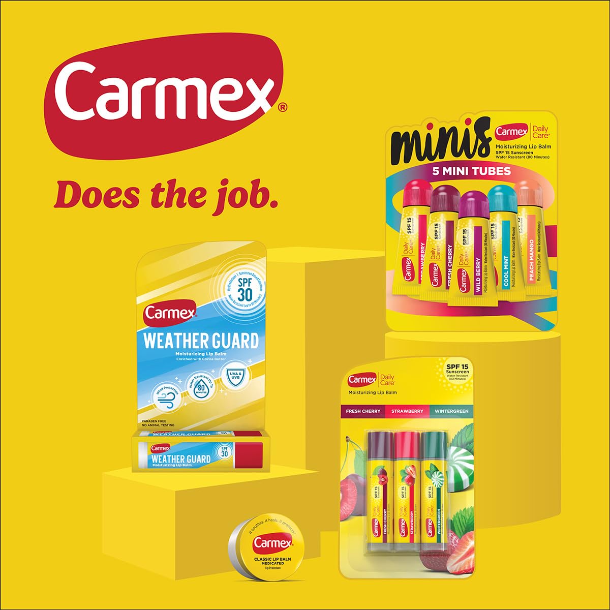 Carmex Daily Care and Daily Care Minis Moisturizing Lip Balm Pack, SPF 15, Multi-Flavor Lip Care