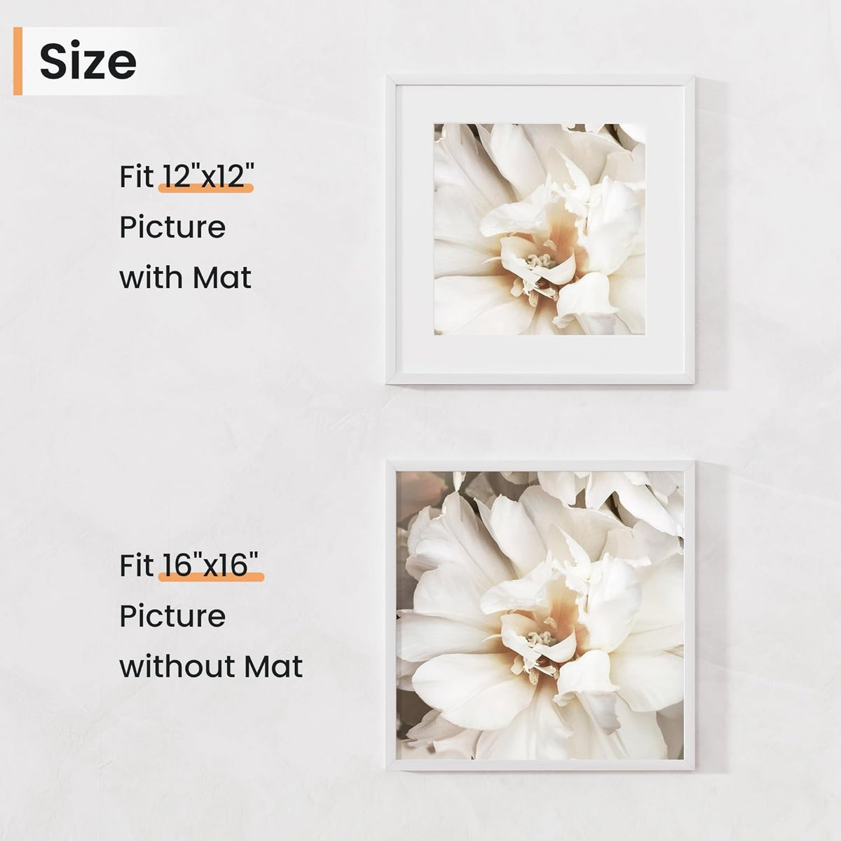 16x16 inch Picture Frame, 16x16 Photo Frames with 12x12 Removable Mat - High Definition Plexiglass