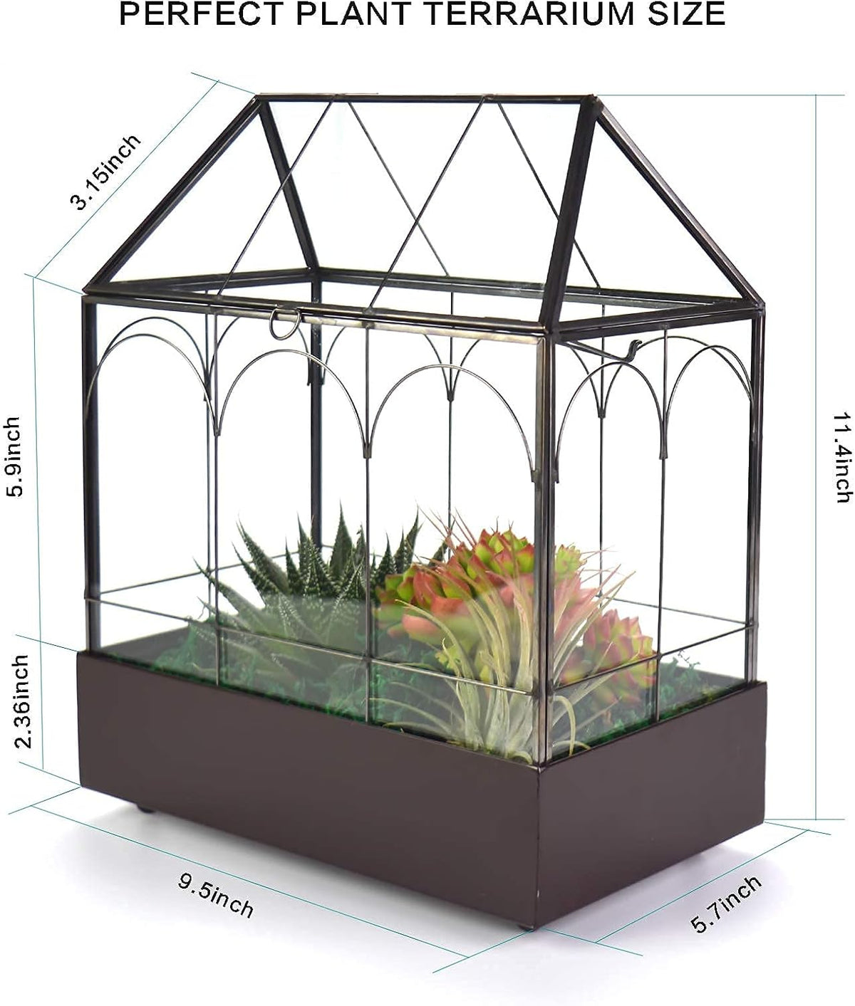 Large Tall Glass Plant Terrarium – House Succulent Terrarium Kit with Lip and Tray Glass Greenhouse