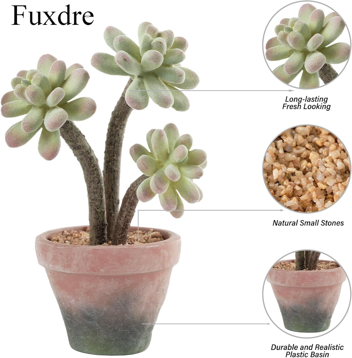 2-Pack Artificial Succulent Plants in Vintage Plastic Pots - Waterproof Fake Succulents Decor for