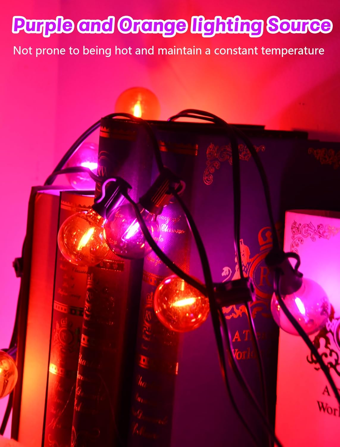 SUNSGNE G40 LED Outdoor Halloween String Lights 25FT Globe String Lights with 27 LED Shatterproof