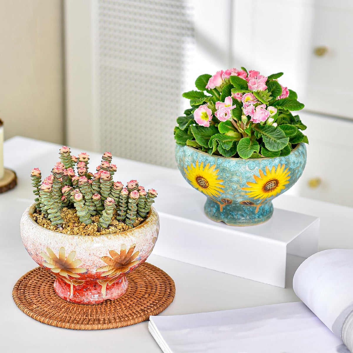 Sungmor Small Succulent Planters Set of 2, Beautiful Hand Crafted Ceramic Plant Pots Cute Cactus