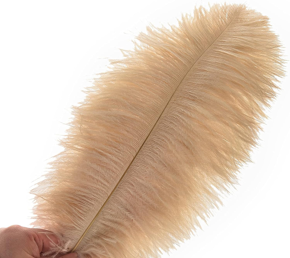 Ballinger Large Champagne Ostrich Feathers - 24pcs 8-10inch Boho Feathers for vase and Home Decor