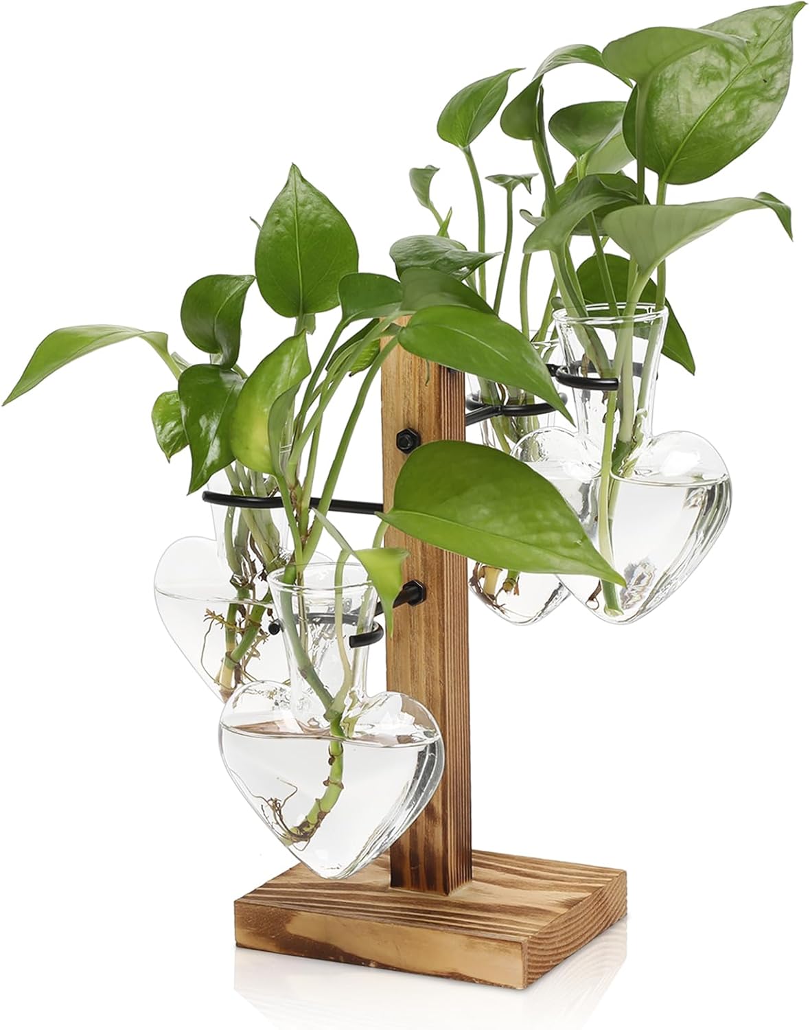 Plants Propagation Stations Plant Terrarium Kit Glass Planters for Indoor Plants House Plant