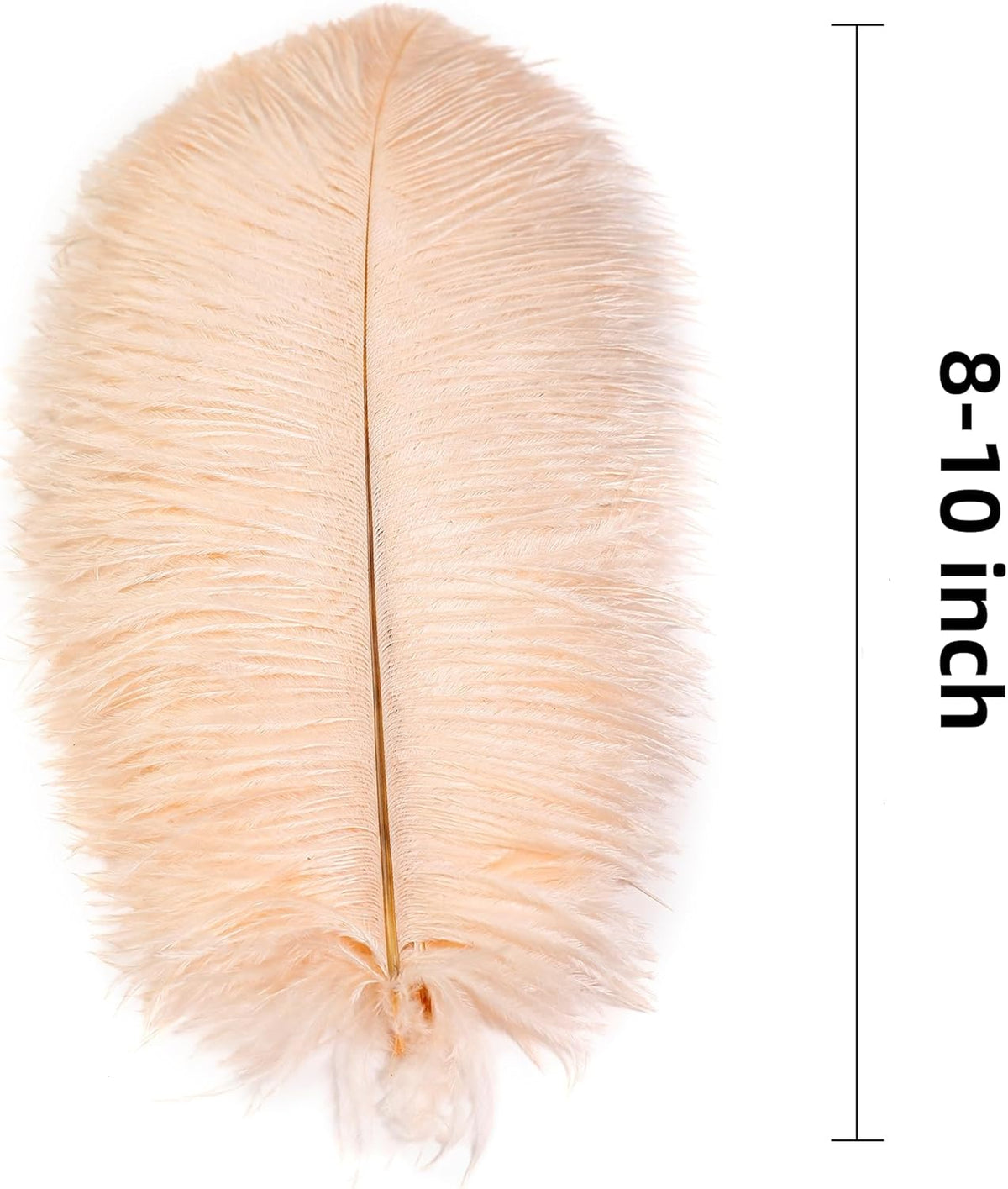 Ballinger Light Salmon Ostrich Feathers - 24pcs 8-10inch Feathers for Crafts，Wedding Party