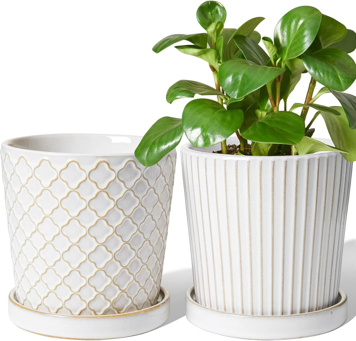 LE TAUCI Ceramic Pots for Plants, 5.4 Inch Plant Pots with Drainage Hole and Saucer, Indoor Plant