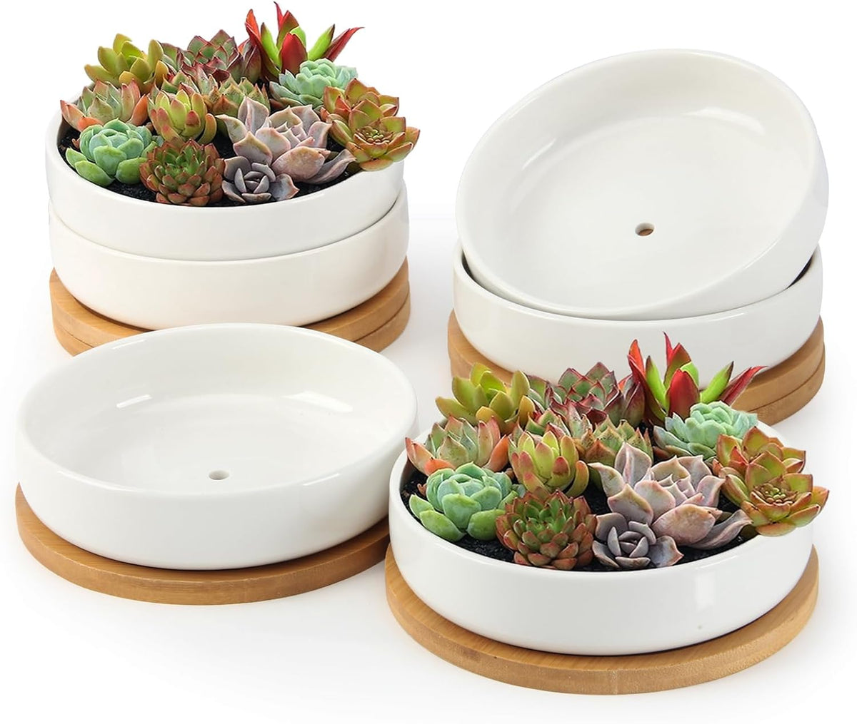 ZOUTOG Succulent Pots,6 Inch Succulent Planters with Drainage and Tray,White Ceramic Planters for