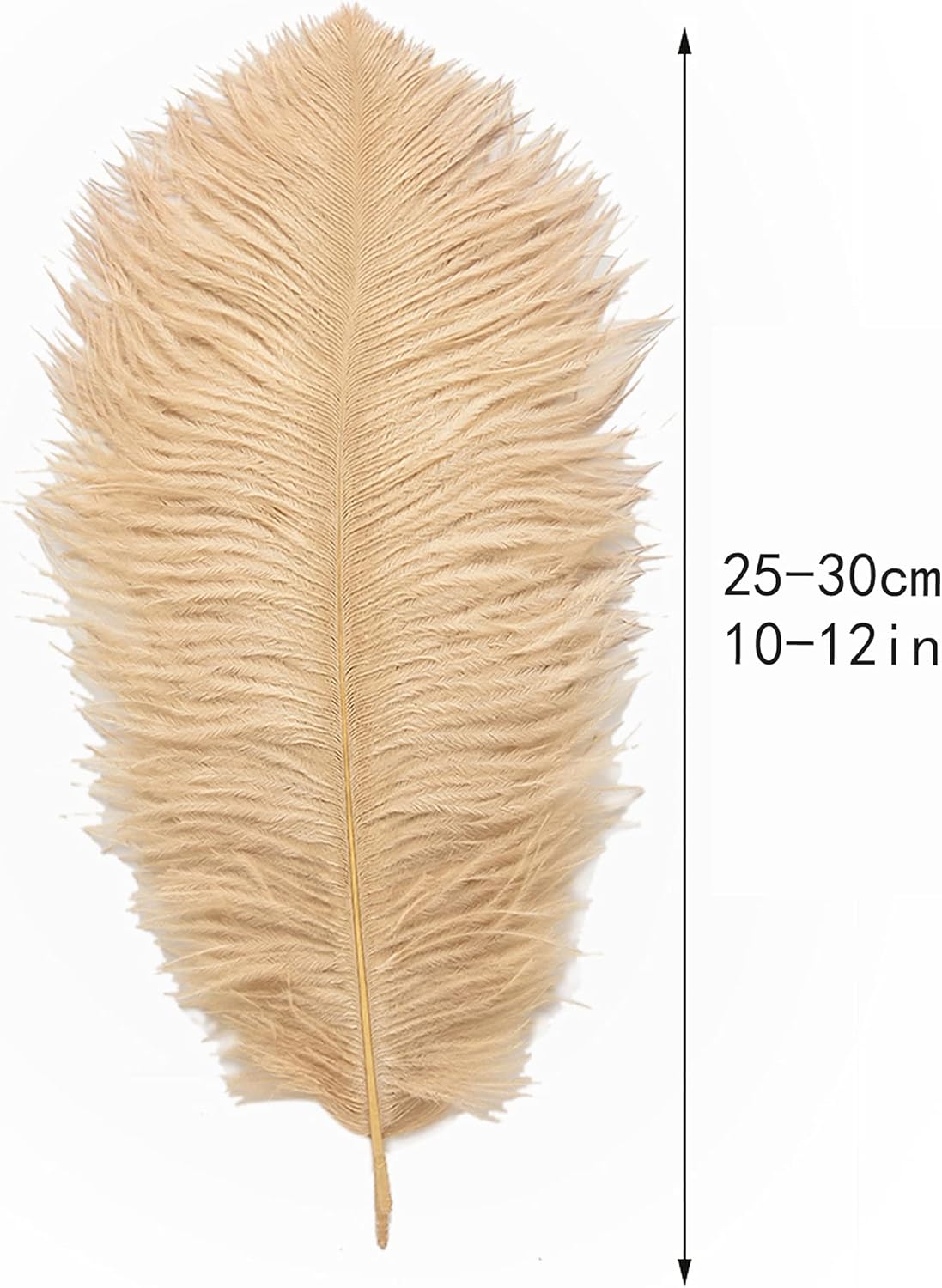 Ballinger Champagne Ostrich Feathers Bulk - 24pcs 10-12inch Boho Feathers for vase and Home Decor