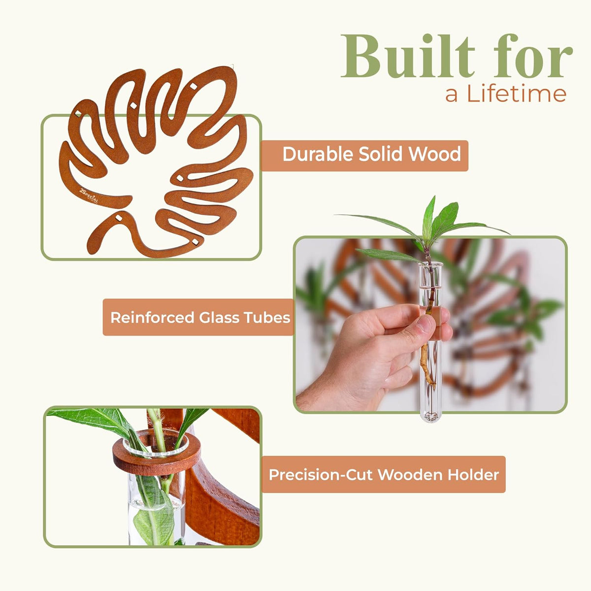 2Special Propagation Stations | Hanging Propagation Station and Wall Planters for Indoor Plants |