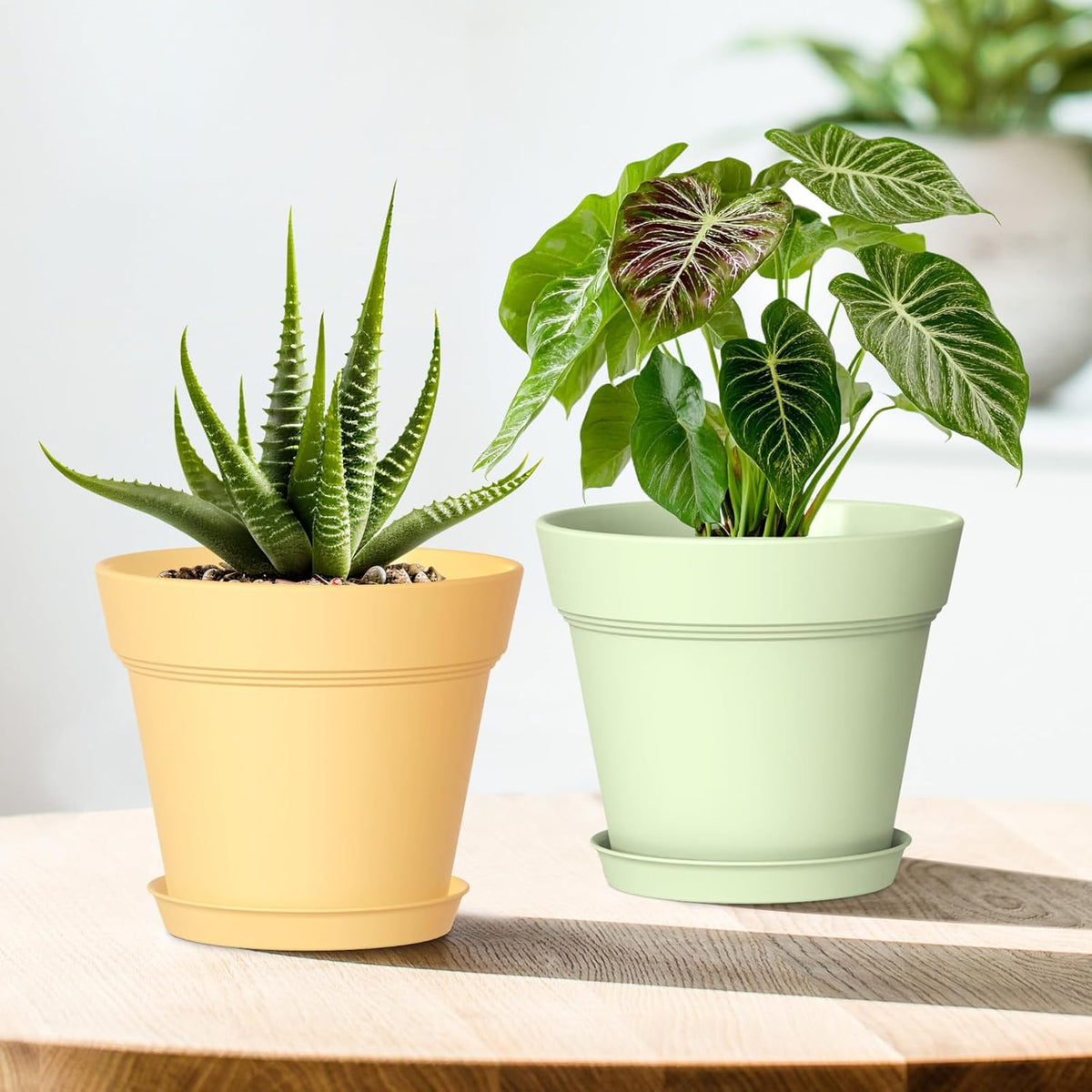4 Inch Plastic Plant Pots with Drainage Holes and Trays – 8 Pack Small Nursery Pots for Indoor &