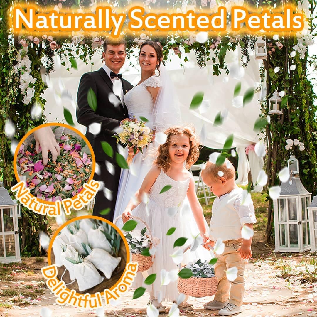 Real Dried Ivory White Hydrangea Flower & Eucalyptus Petals - 3000+ Natural Fragrant Confetti for