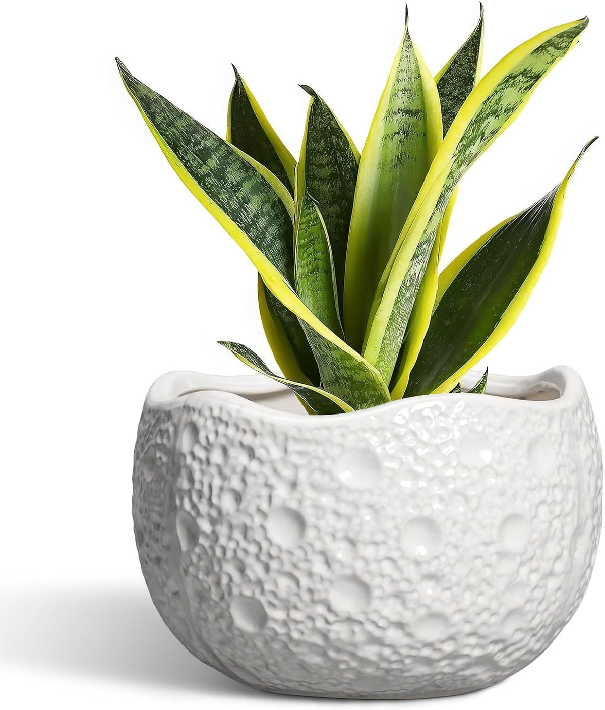 Ceramic Plant Pot - 8 Inch Round Planter with Drainage Hole, Decorative Plant Pots for Indoor