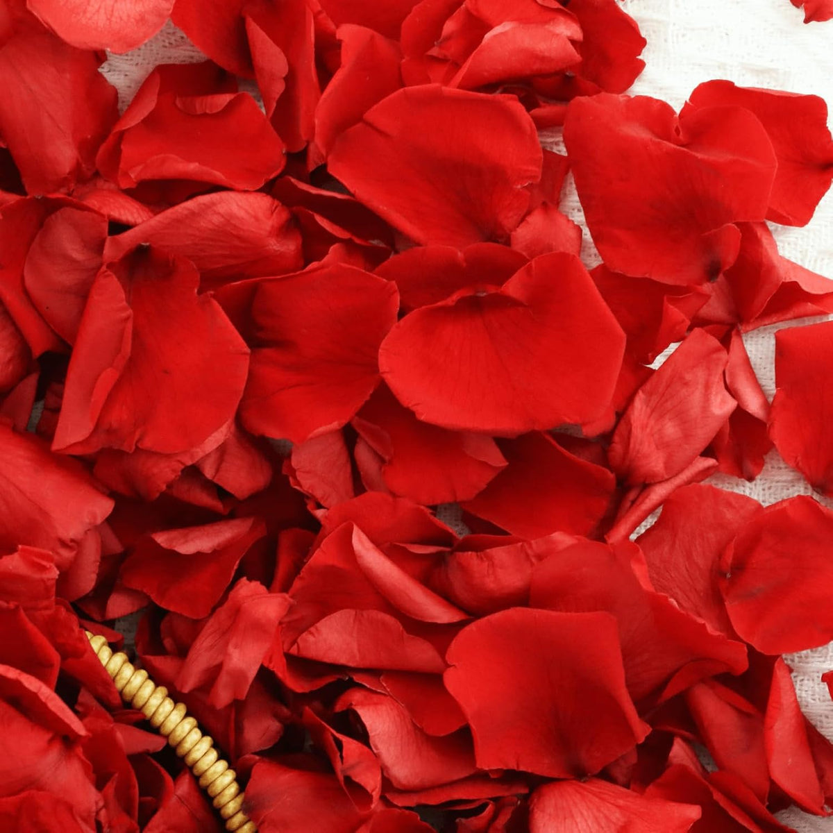 200Pcs Dried Real Red Rose Petals, Preserved Flower Petals 1.75oz for Gifts Wedding Party Decor
