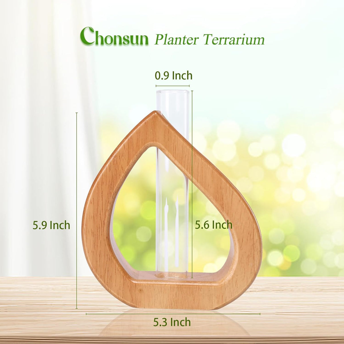 Propagation Stations Planter Terrariums Wall Hanging Test Tube Desk Decorations with Wooden Stand