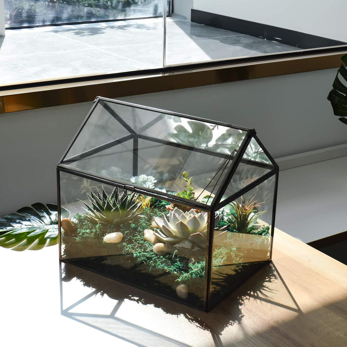 Black 1 Large Glass Plant Terrarium Kit with Lip Greenhouse for Succulents