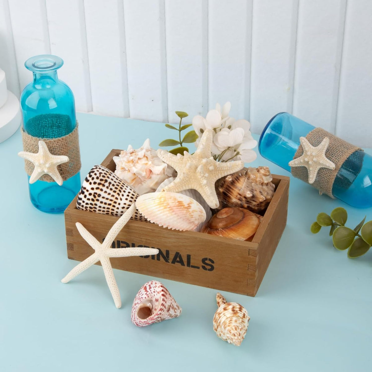 JQAQJU Sea Shells for Decorating 15PCS Large Seashells Starfish Conch for Beach Party,Vase Fillers