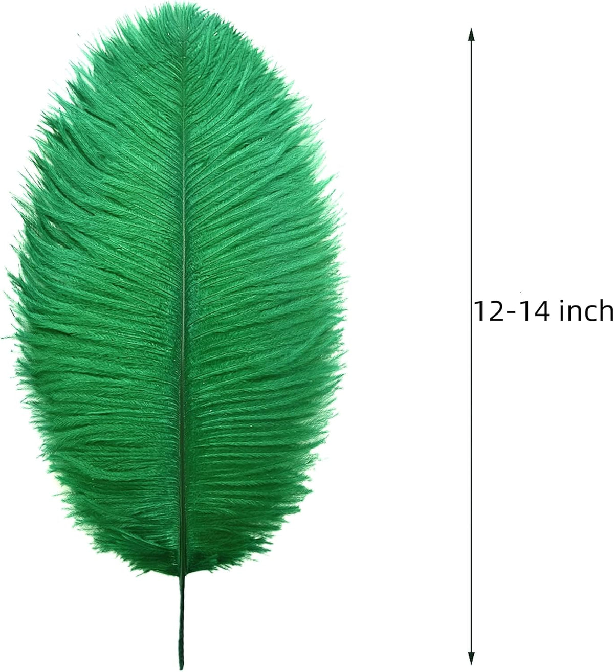 Ballinger Large Green Ostrich Feathers - 24pcs 12-14inch Long Feathers for Vase, Wedding Party