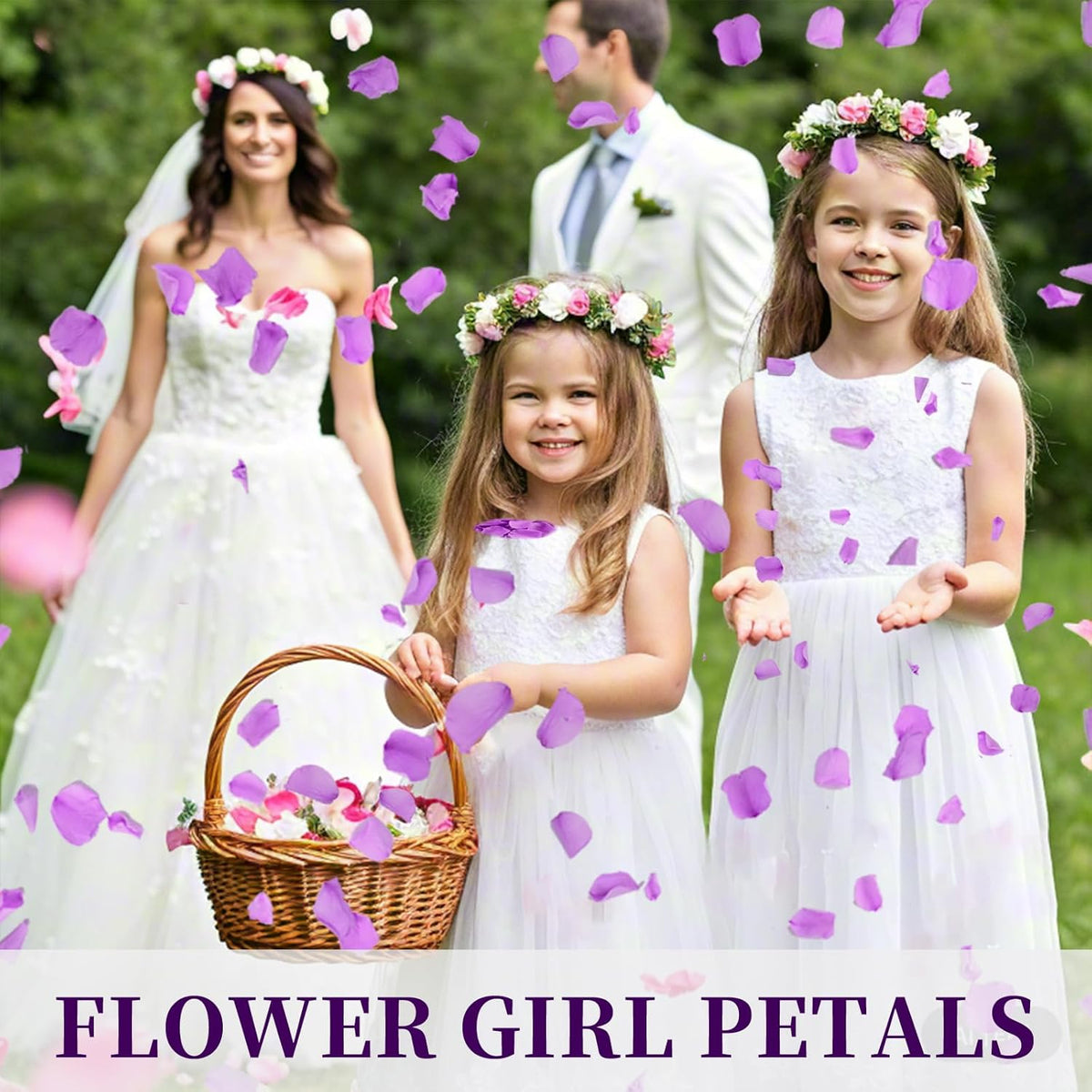 180 PCS Real Purple Rose Petals for Wedding, 1.76oz Dried Flower Petal for Flower Girl to Throw