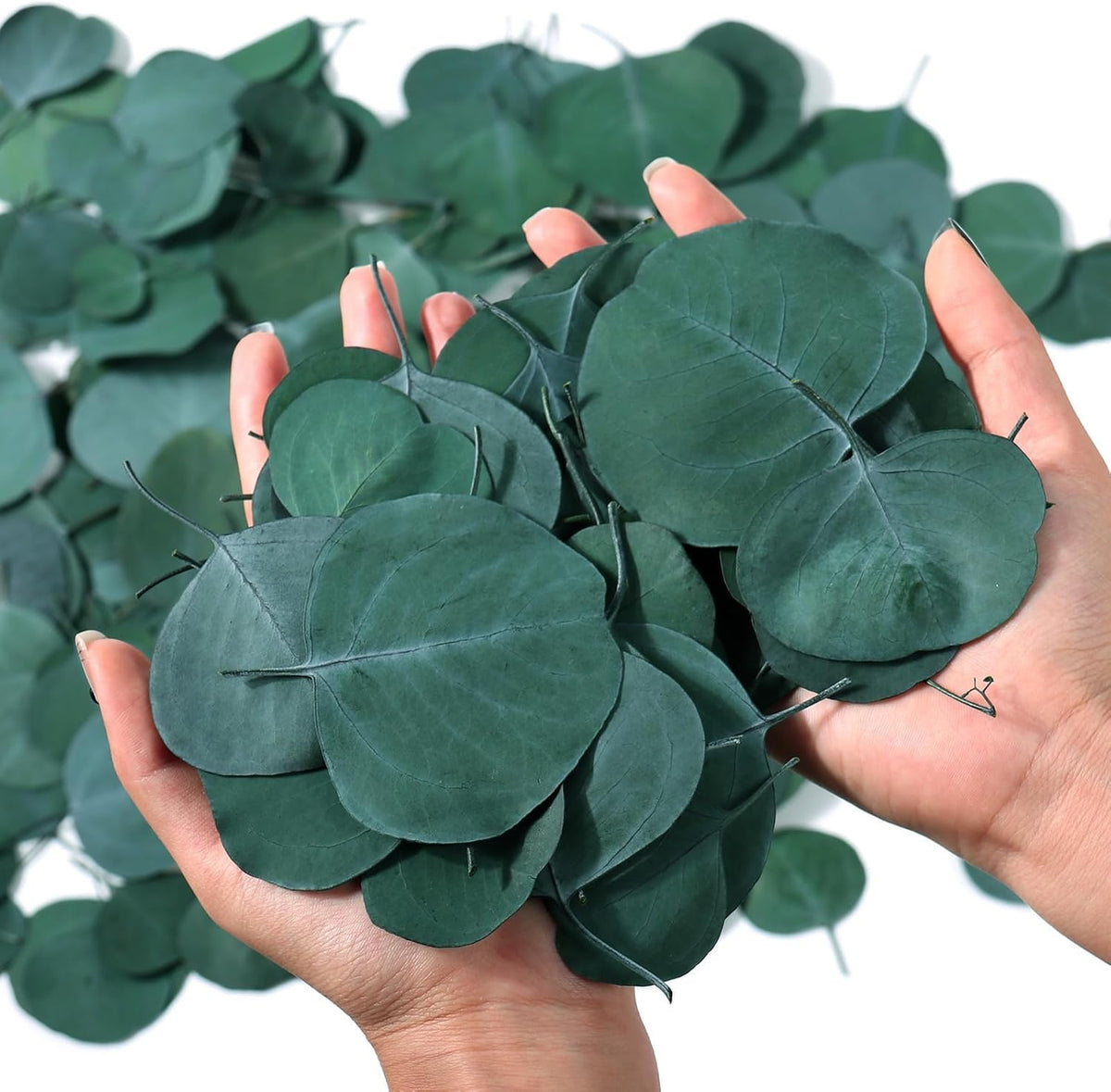 400+ Natural Dried Eucalyptus Leaves – Bulk Green Petals for Wedding, Baby Shower, & Table Decor.