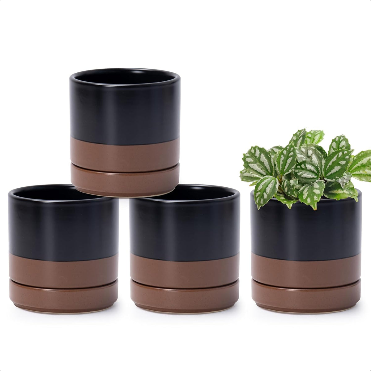 D'vine Dev Set of 4 Small Ceramic Plant Pots, 4.7 Inch Succulent Planter Pot for Plants with