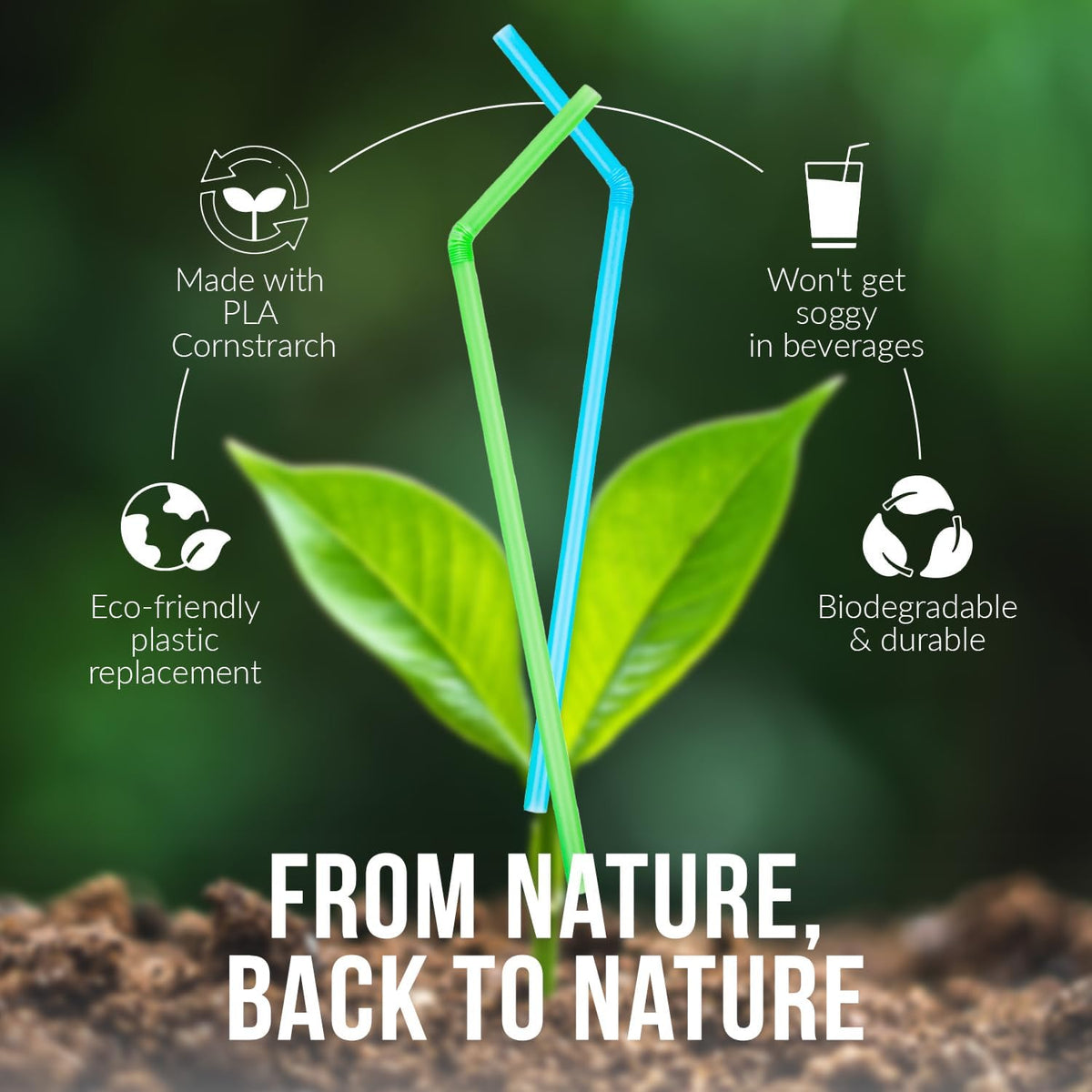 Weemium Compostable Straws Disposable 300 Pack | 100% Plant-Based Plastic-free, Disposable and
