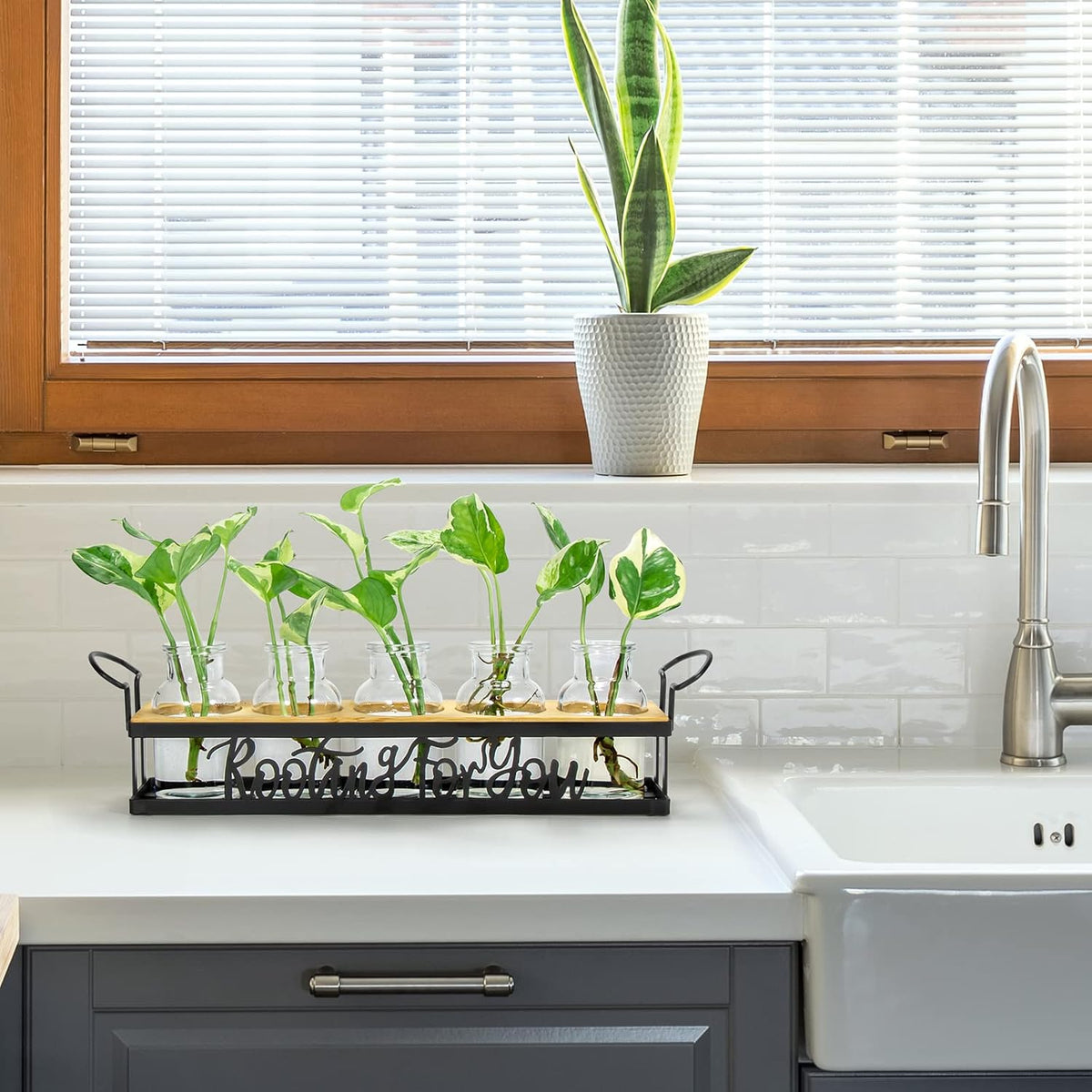 THYGIFTREE Plant Propagation Stations, Mothers Day Plant Lover Gifts for Mom Women Rooting for You