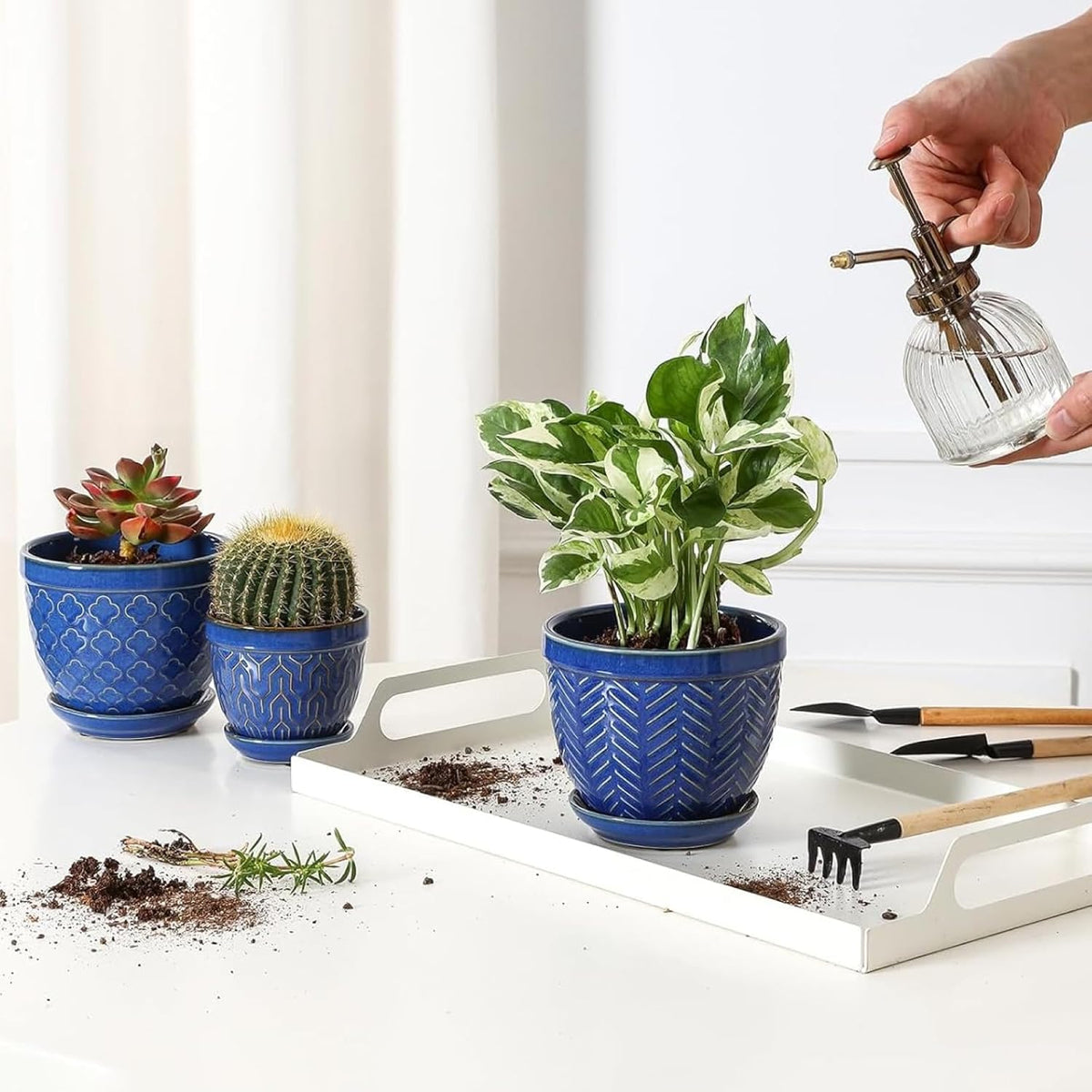 Sureasy Succulent Pots, 3.5 Inch Flower Pots for Indoor Plants, Small Plant Pots with Saucer &