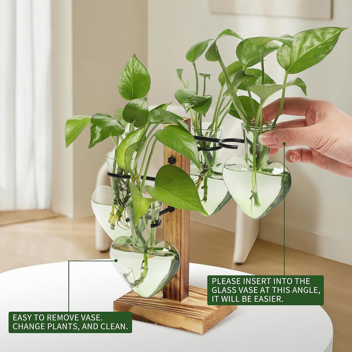 Plants Propagation Stations Plant Terrarium Kit Glass Planters for Indoor Plants House Plant