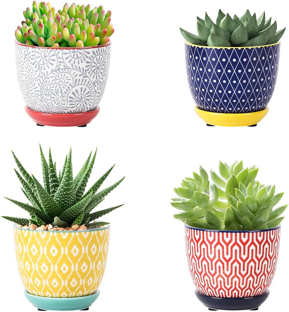 Selamica Ceramic Succulent Pots with Drainage Holes, Small Flower Pots 3.5 Inch Plant Pots for